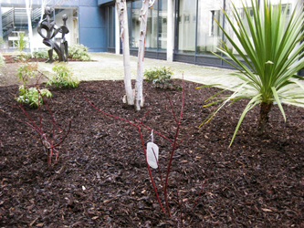muddy boots landscaping Sleepers Beds and Borders